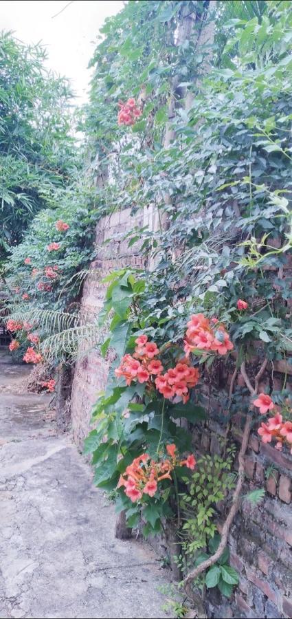 Family Homestay Бави Экстерьер фото