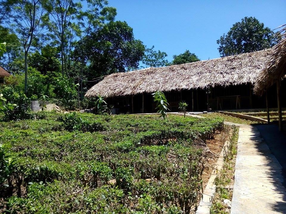 Family Homestay Бави Номер фото