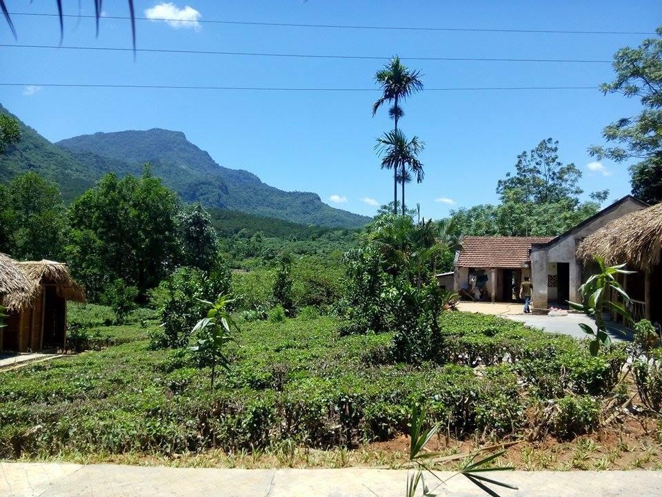 Family Homestay Бави Экстерьер фото