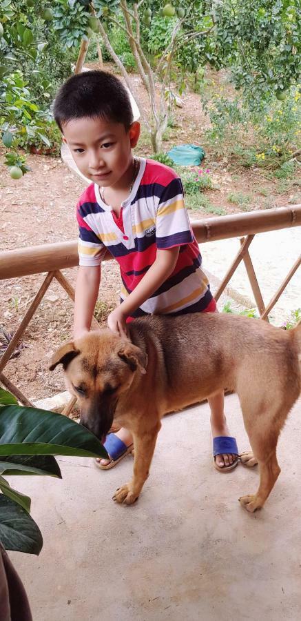 Family Homestay Бави Экстерьер фото